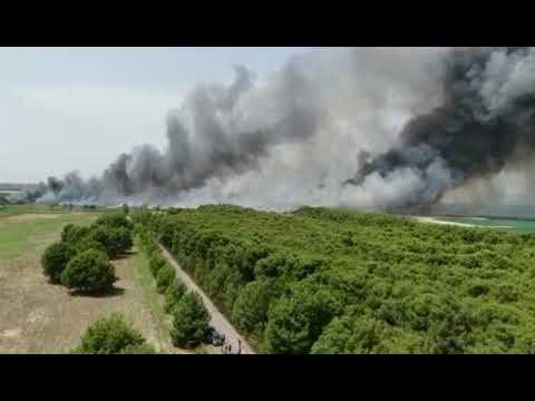 Brucia la pineta di Campomarino: le immagini dall’alto e dalla spiaggia