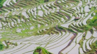 preview picture of video '美しい日本の原風景「丸山千枚田」 Maruyama Rice Terraces ( Shot on RED EPIC )'