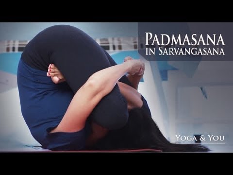 Padma Sarvangasana - Lotus in Shoulderstand