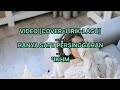 HANYA SATU PERSINGGAHAN IKLIM Cover Lirik By Indah Yastami