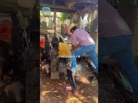 CHÁCARA À VENDA – CROMÍNIA/GO | 60 km de Goiânia, 9,5 alqueires goianos #agro #chacaraavenda