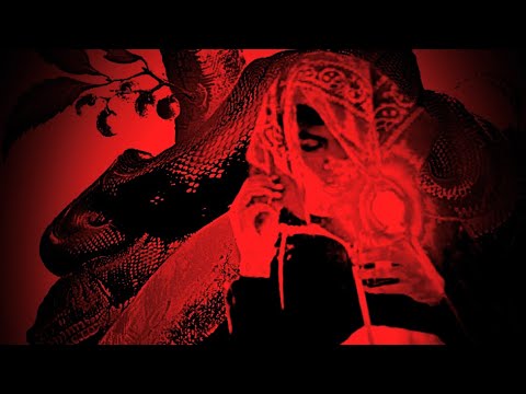 Slime Ball Xani - Gun Violence