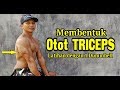Melatih otot Triceps dengan 1 Dummbell / Triceps exercise with 1 Dummbell / Otan GJ