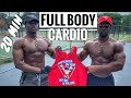 Full Body Cardio Workout to Burn Fat | 20 minute workout no equipment