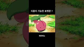 식용이 가능한 포켓몬