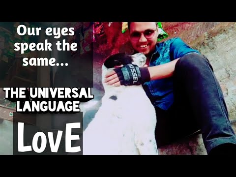 Now you're a part of me