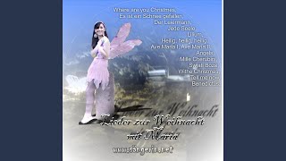 Der Leiermann in A-Moll, D 911, 24