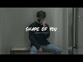 Shape Of You Ed Sheeran Slowed Reverb