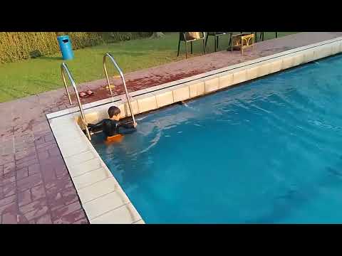 Swimming performance of Miqdad