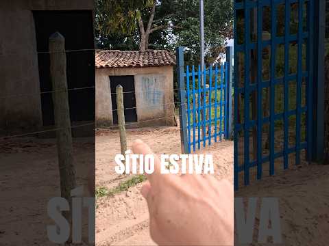 AQUI É UM PARAÍSO SÍTIO ESTIVA MALHADOR SERGIPE #shorts #viral #video