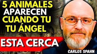 PADRE CARLOS SPAHN REVELA: 5 ANIMALES QUE APARECEN CUANDO TU ÁNGEL DE LA GUARDA ESTA CERCA