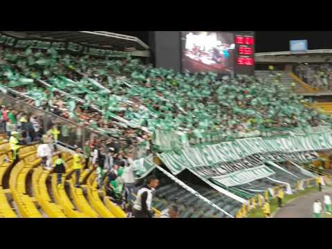 De la cuna hasta el cajón - Queremos ganar la Copa Libertadores (Los del Sur)