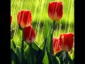 ♫☼This is what My God has for me-Tommy Walker♫☼