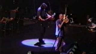 REM - Fretless @ Perth Australia  (1995)
