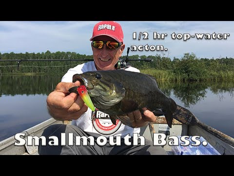 Csf 35 09 Surface Smallmouth Bass Action.