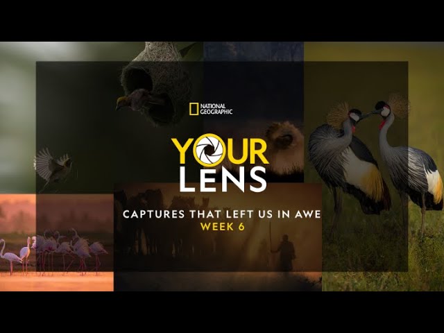 Your Lens: Captures That Left Us in Awe | Week 6