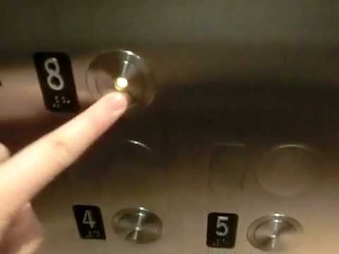 Nice Talking Schindler Traction Elevator @MIT Lobby, Cambridge MA