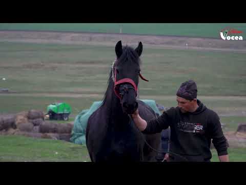 Comuna Todireni, cu frumusețile locului