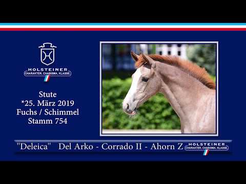 Holsteiner Elite-Fohlenauktion 2019 - Nr. 55 Deleica v. Del Arko-Corrado II