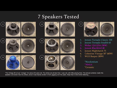 Could this be the best speaker ever for your Tweed Deluxe?!