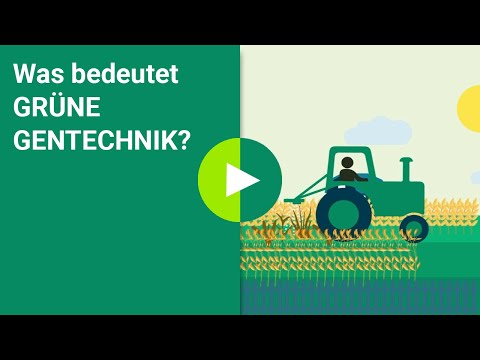 Was bedeutet Grüne Gentechnik?
