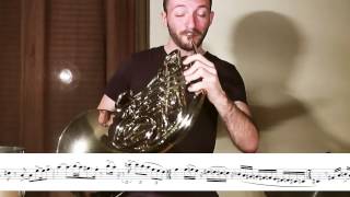 Symphonic Tribute to Haken || French Horn Solo