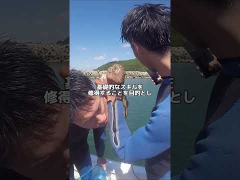 潜水調査実習