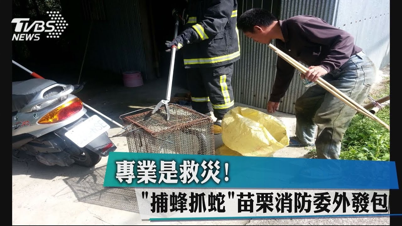 專業是救災! 「捕蜂抓蛇」苗栗消防委外發包