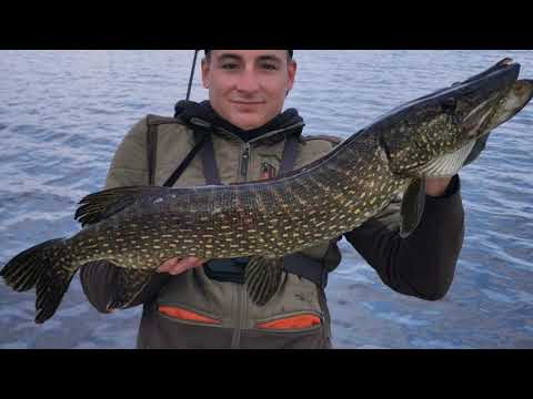 Lac landais                                    01/05/21 🎣 88cm  ✅