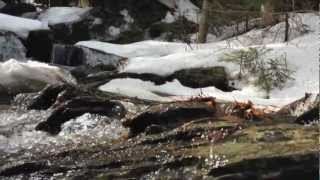 Nautical Operator - Emerge, and See