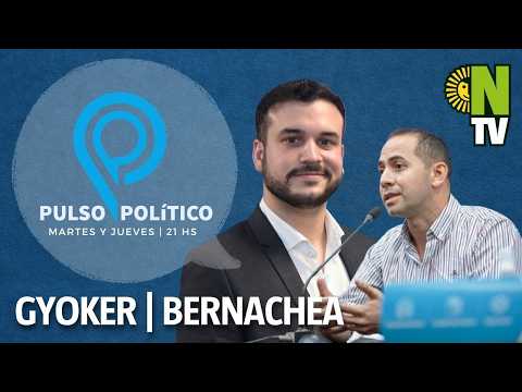 El ranking de Zdero, la interna de Capitanich y el plan económico de Iván Gyöker | Pulso Político