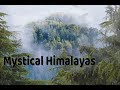 Mystical Himalayas | Nature Sounds | Birds Chirping | Meditation | Global Mantra