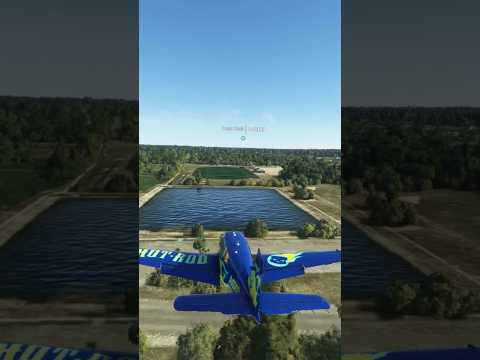 Day 3 of landing planes on my football field till I get 5,000 views #flightsimulator #landing