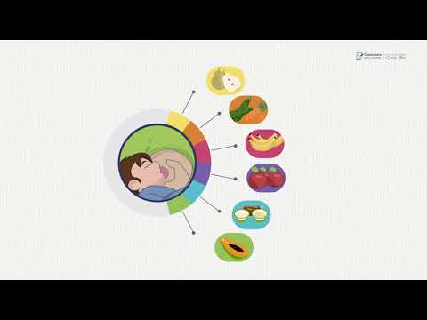 Curso de Promotor del Desarrollo Infantil 0