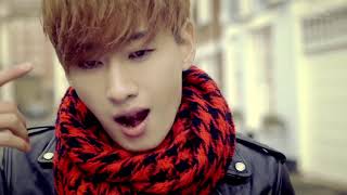 SUPER JUNIOR- &#39;ANIMALS&#39; FAN M/V