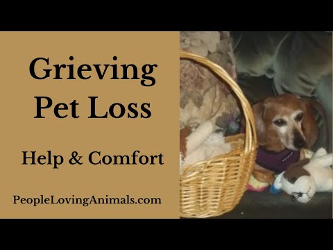 Dealing with Grief Over the Loss of a Pet - Coping Tips & Comfort With Printable Rainbow Bridge Poem