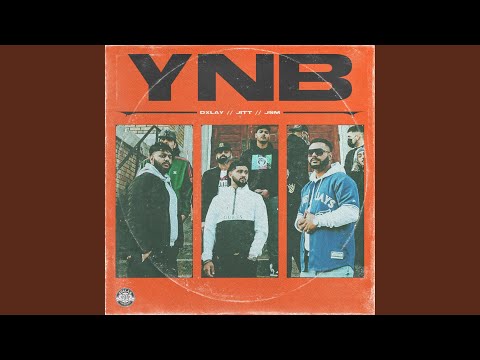 YNB