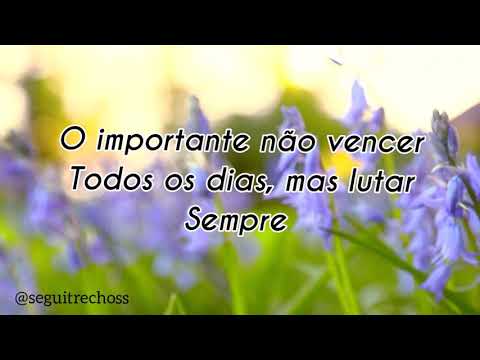 frases bonitas e curtas _frases para se motivar e compartilhar