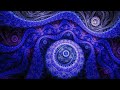Mike Oldfield Amarok Excerpt