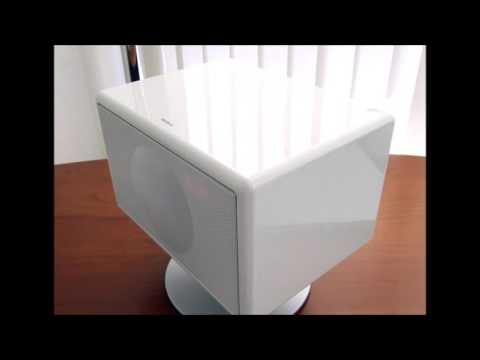 Kongsted & Cisilia - Wild Child