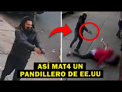 BRUTALES ASESlN4T0S entre PANDlLLAS de EE.UU - CAPTADOS en CÁMARA