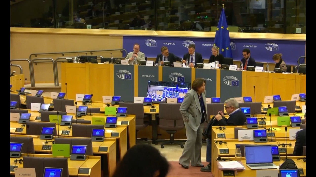 И покрај 400 амандмани, предлог- извештајот на Вајц за Македонија помина во комисијата на ЕП