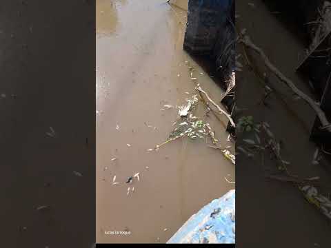 Comtaminacion en Carmen de areco