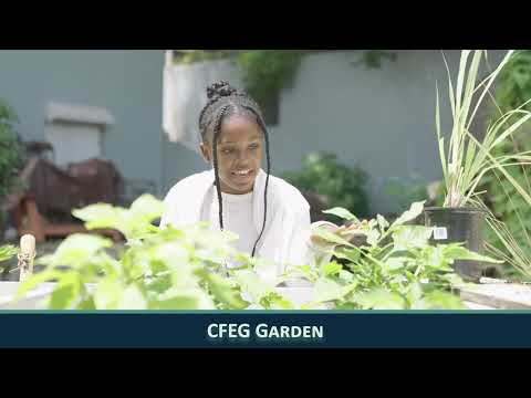 CFEG Agri III thumbnail