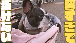 寒くても定期検診へ🏥