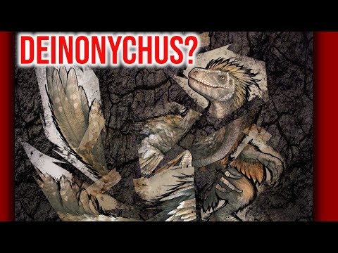 NEW DINO! NEW MAP? NEW DLC? Ark Survival Evolved