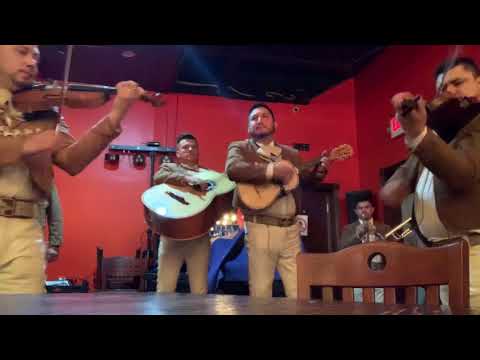Promotional video thumbnail 6 for Mariachi Arraigo de America