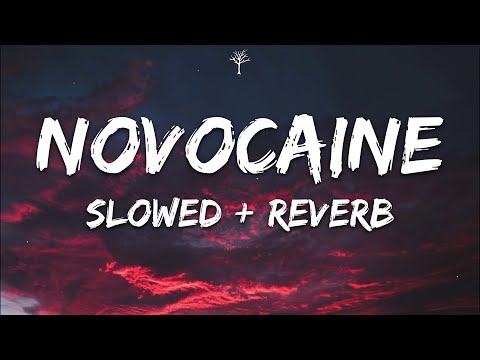 Shiloh Dynasty - Novocaine (Lyrics) Slowed + Reverb