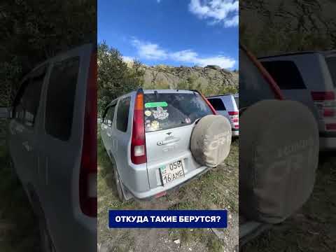 Зачем клеить такое на авто? 🤨 #авто #мнение #вопрос
