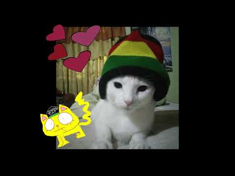 wifiskeleton x jaydes acoustic type beat "i want u gone"